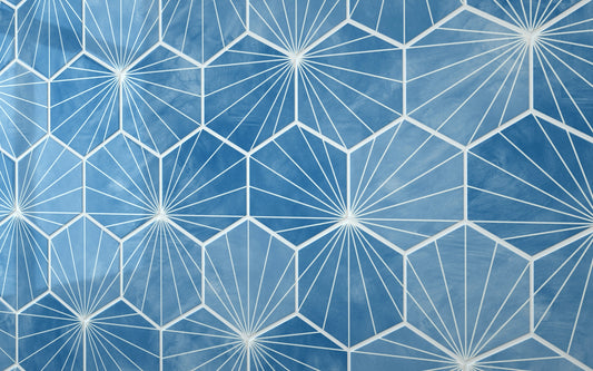 Hexagon Patterned Blue (160mm x 185mm)